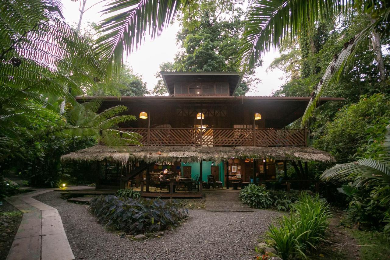 La Kukula Lodge Puerto Viejo de Talamanca Ngoại thất bức ảnh