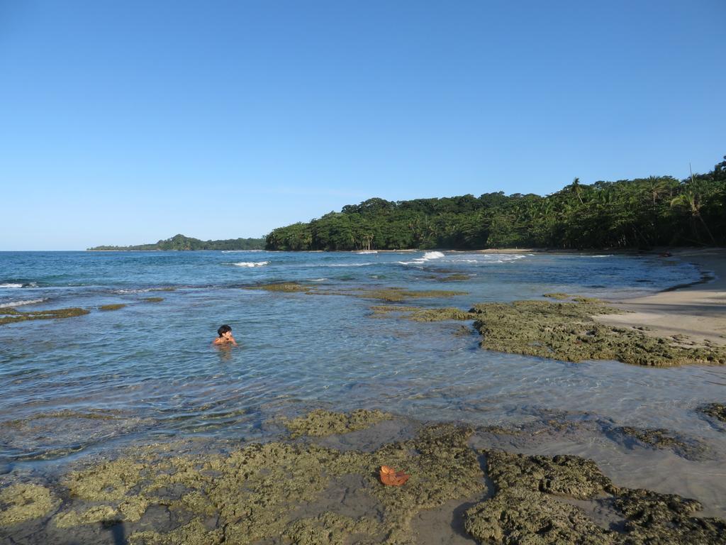 La Kukula Lodge Puerto Viejo de Talamanca Ngoại thất bức ảnh