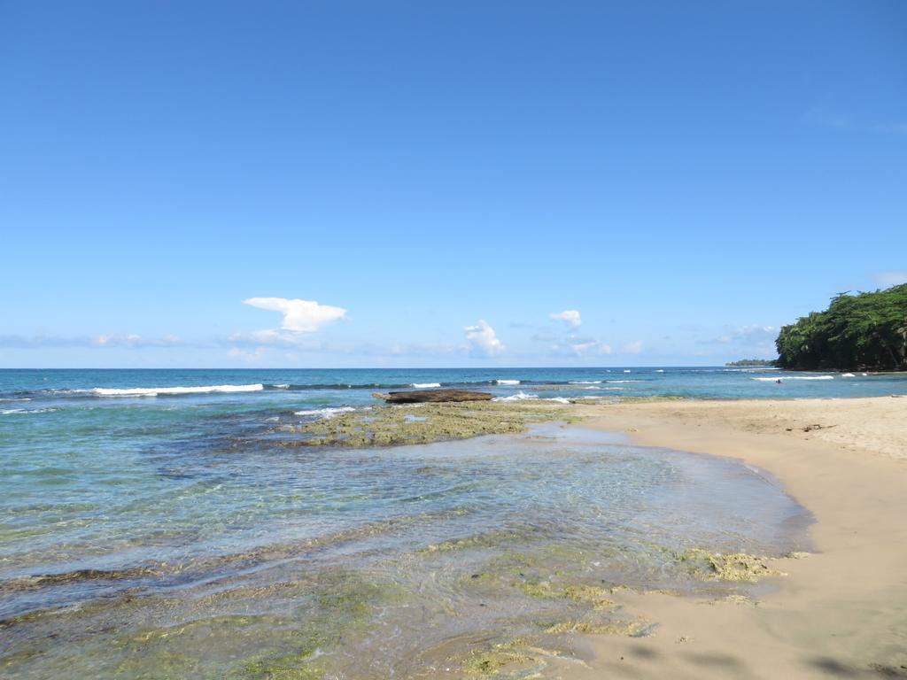 La Kukula Lodge Puerto Viejo de Talamanca Ngoại thất bức ảnh