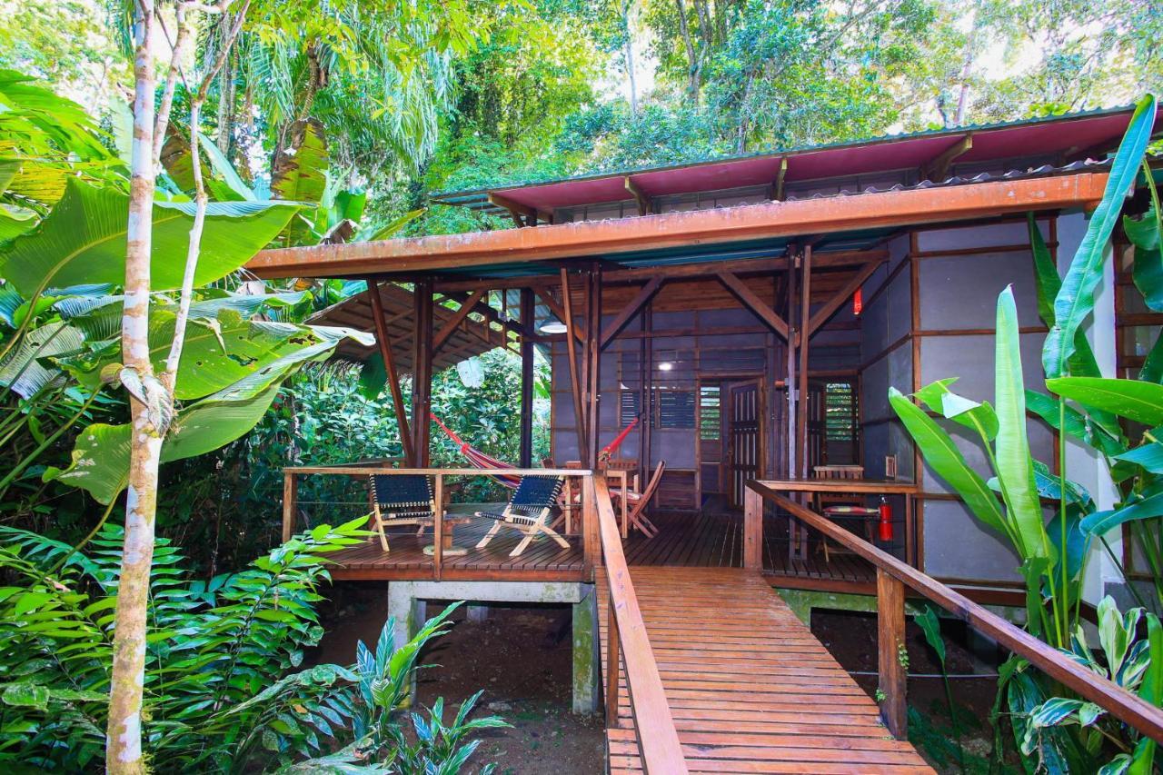 La Kukula Lodge Puerto Viejo de Talamanca Ngoại thất bức ảnh