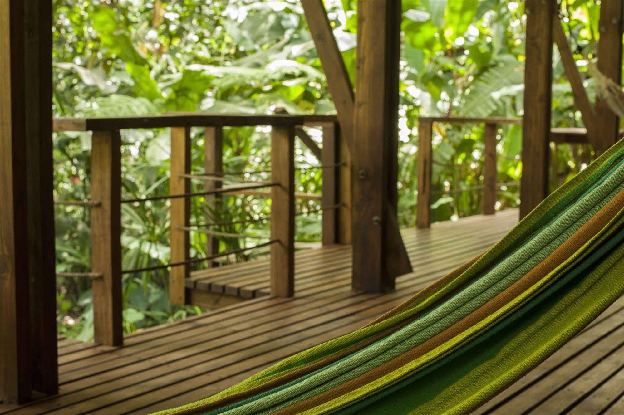 La Kukula Lodge Puerto Viejo de Talamanca Ngoại thất bức ảnh