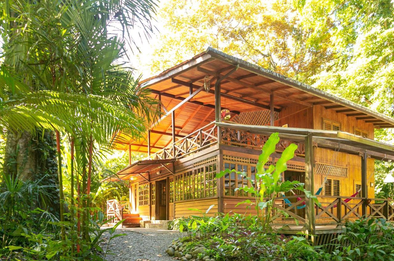 La Kukula Lodge Puerto Viejo de Talamanca Ngoại thất bức ảnh