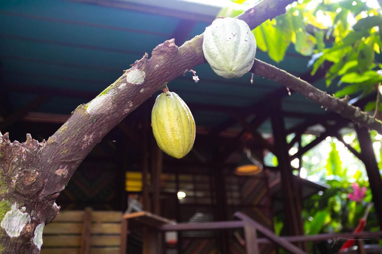 La Kukula Lodge Puerto Viejo de Talamanca Ngoại thất bức ảnh